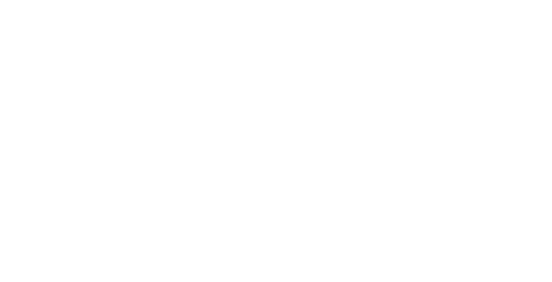 WS Editore